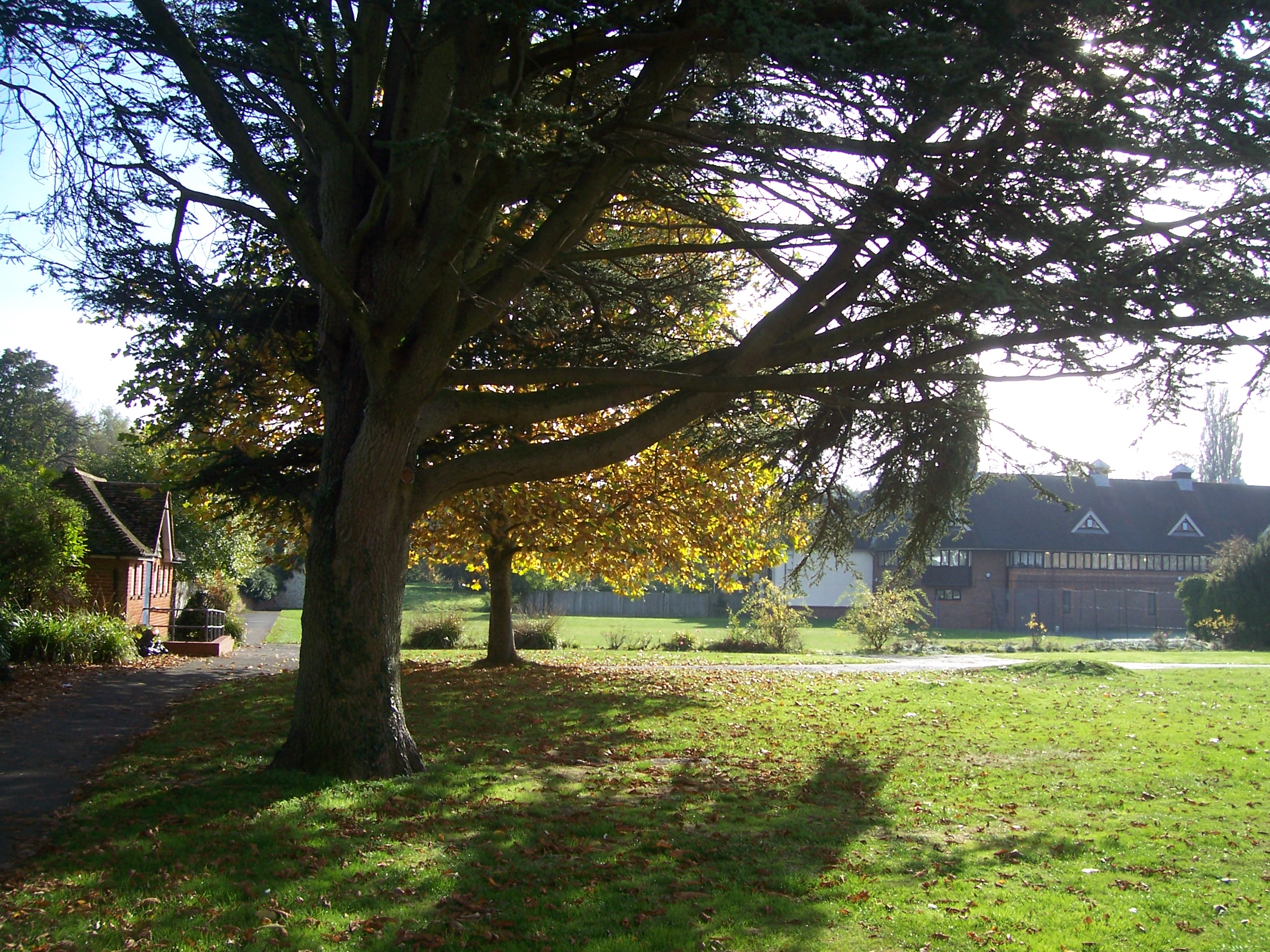 Farnham Brightwells Development