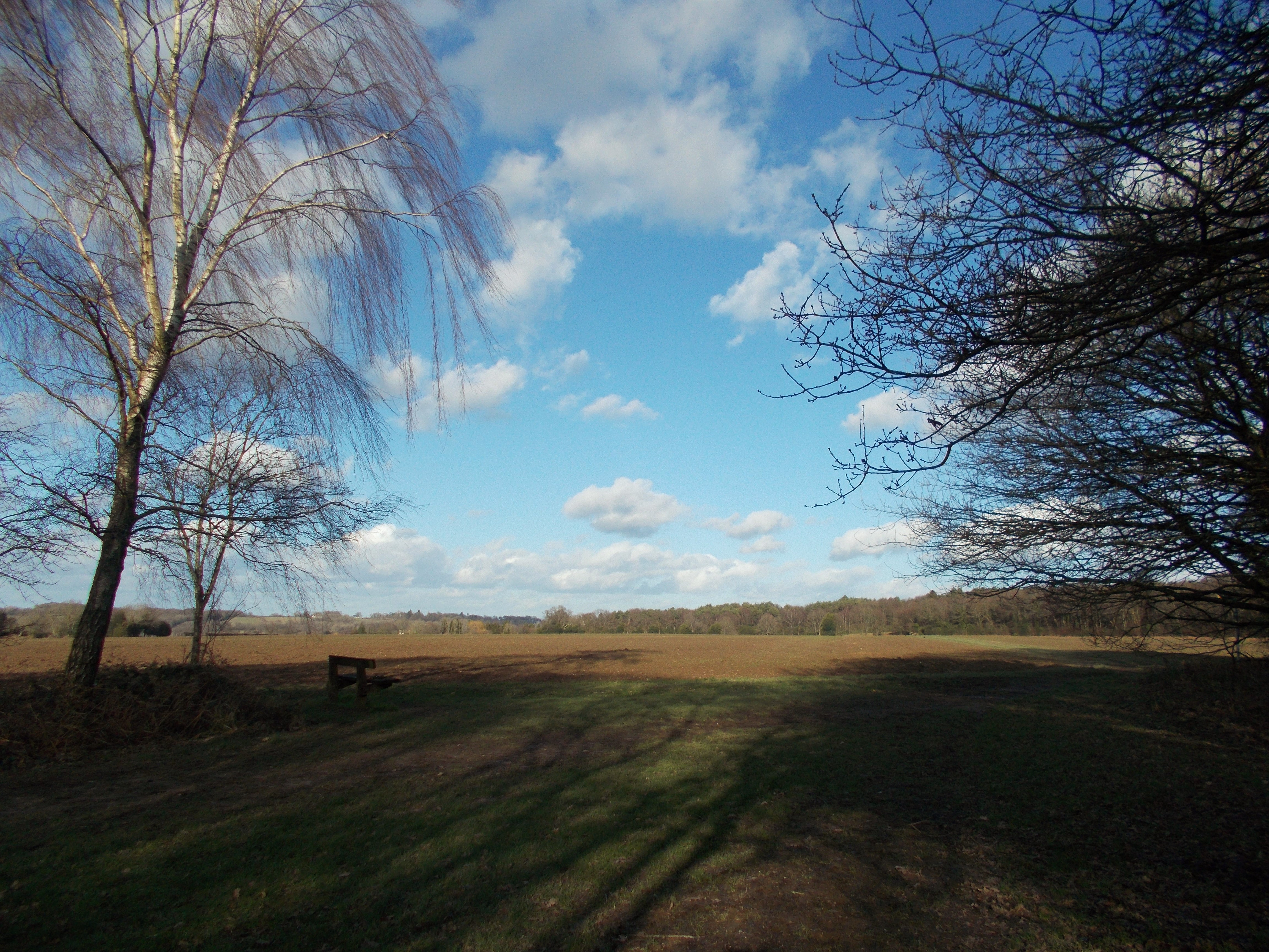 KOGS - Keep Our Green Spaces