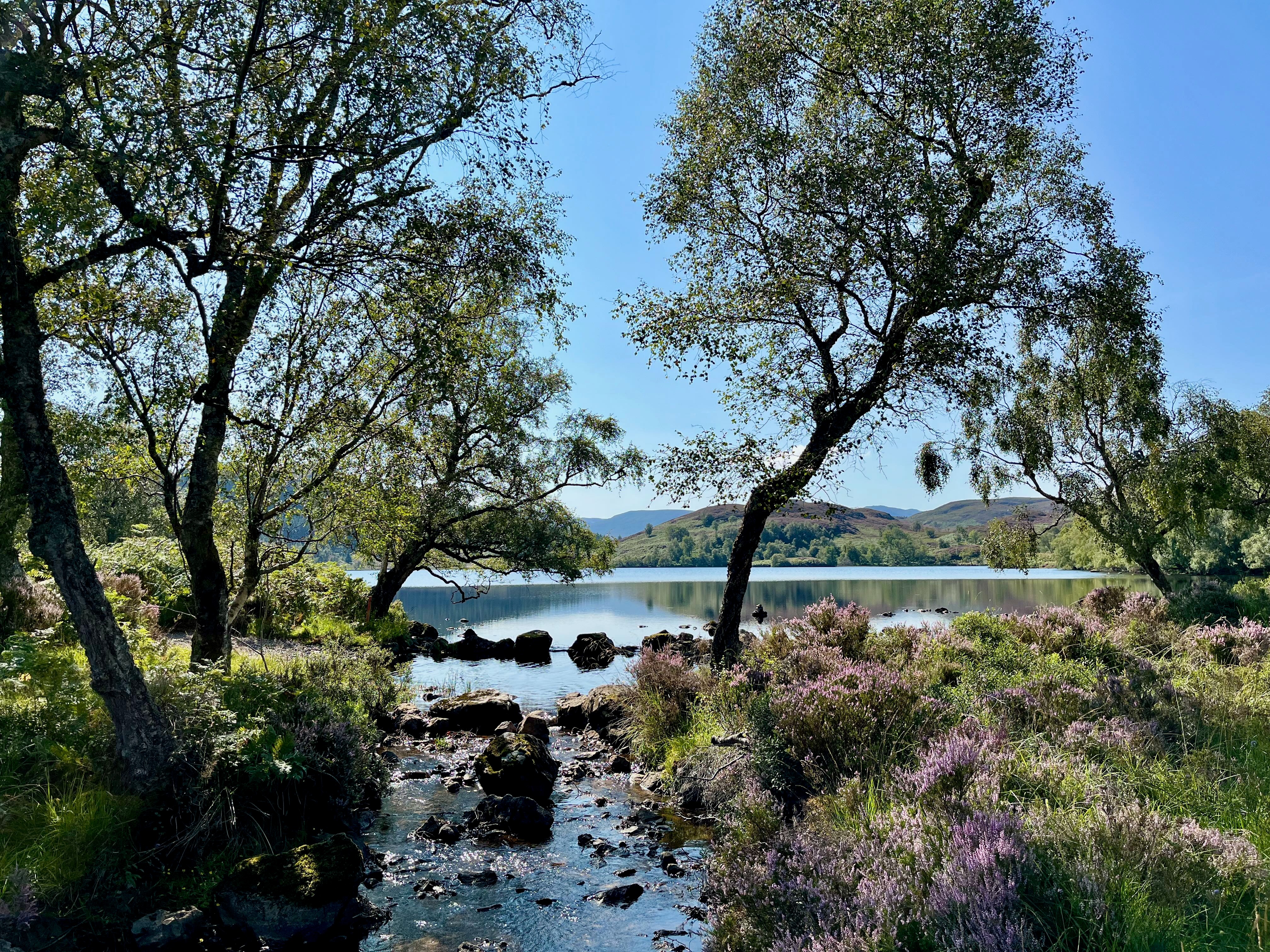 Protect the wildlife of Loch Ness and Loch Kemp