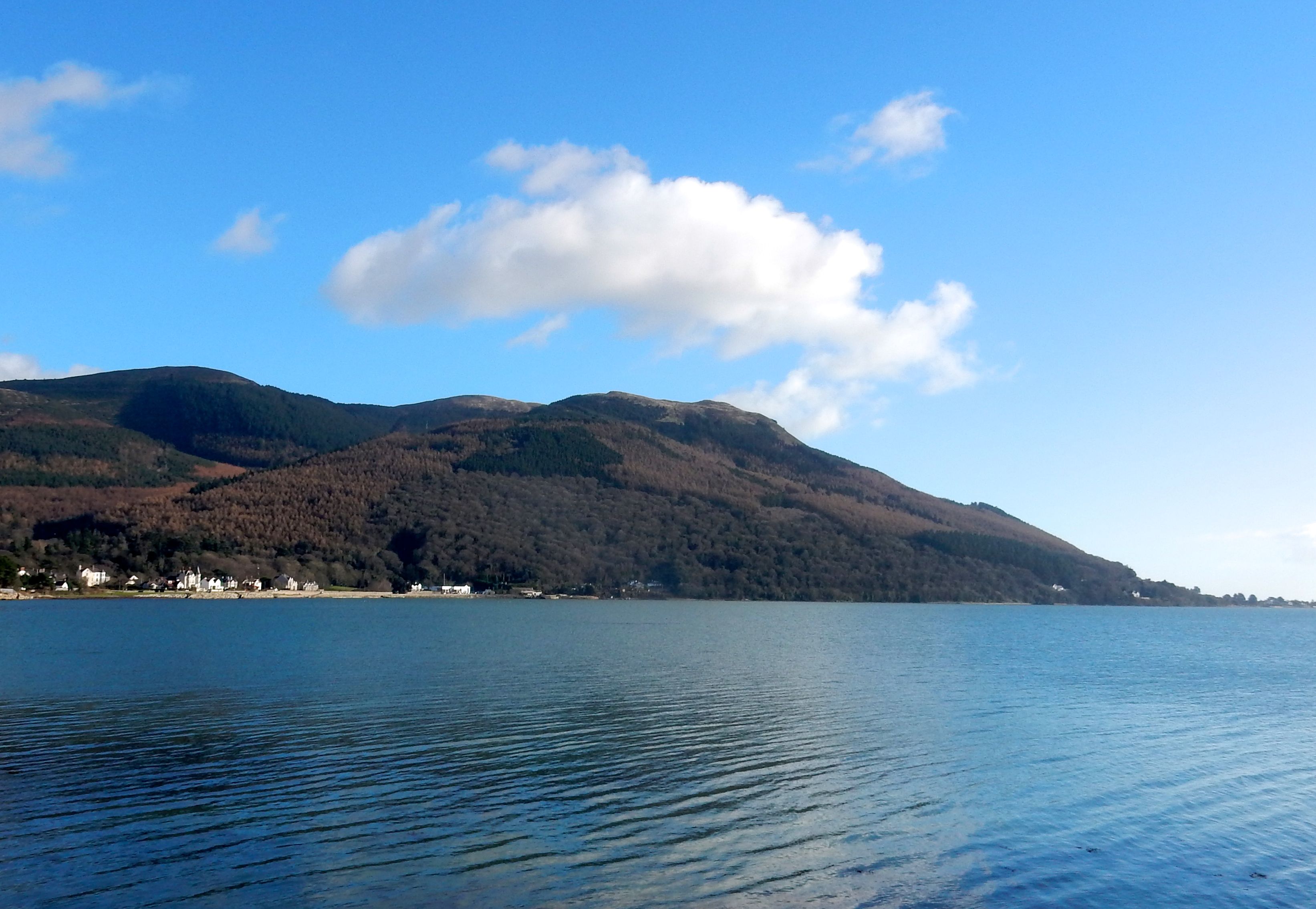 Protect Rostrevor Ancient Woodland from inner-city style development