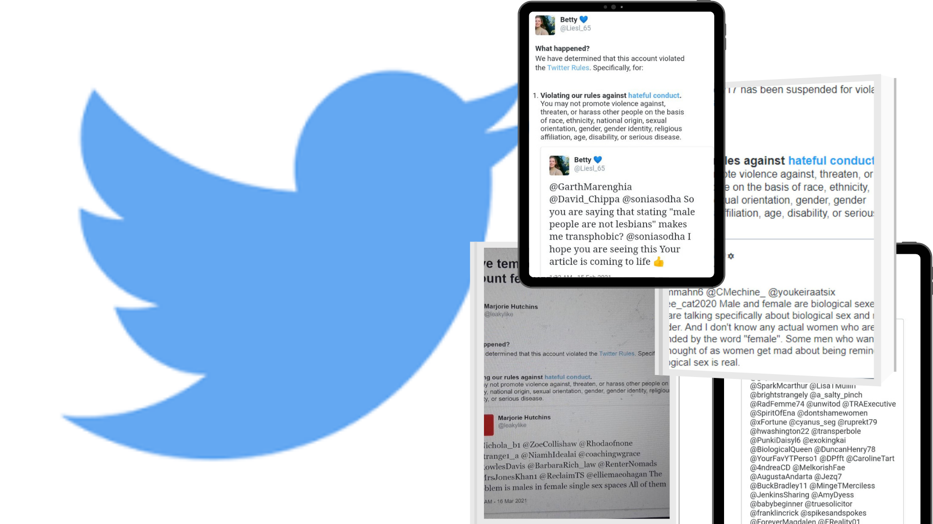 Help Call Twitter to account!