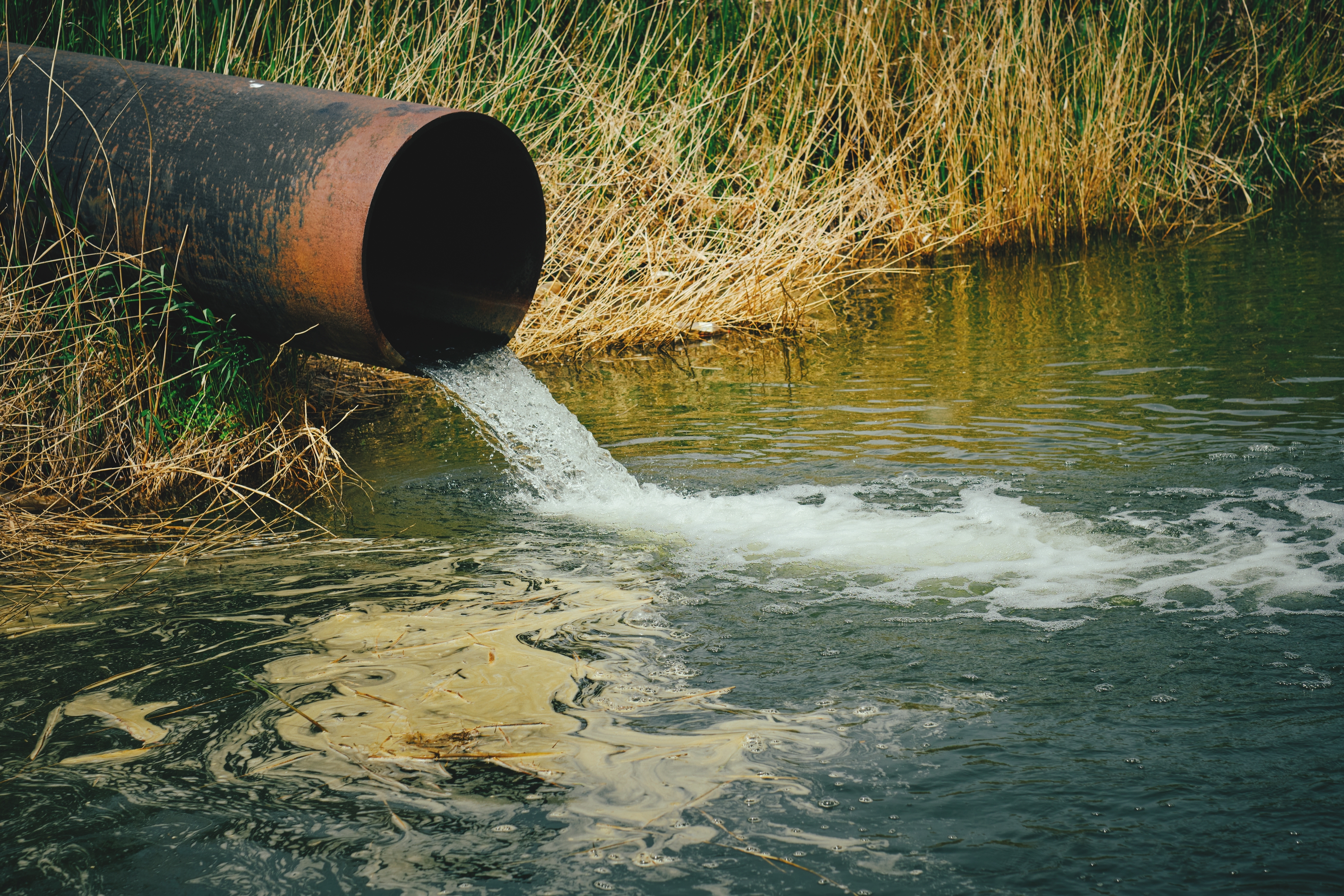 Stop water companies from polluting our rivers with raw sewage